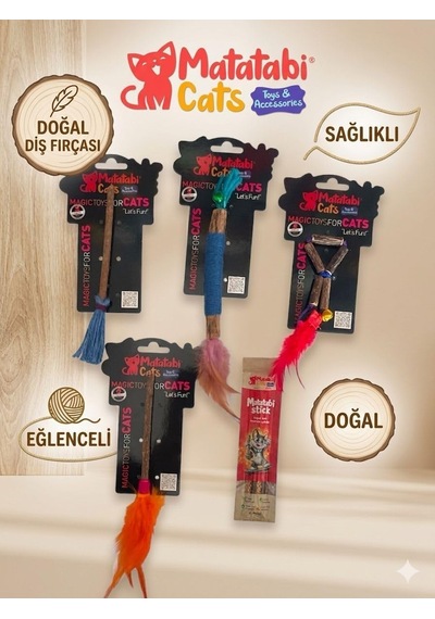 Ayrex Kedim İçin Matatabi Stick Ve Matatabi Oyuncak Seti 5 Parça