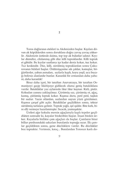 İnce Memed 1 - Yaşar Kemal - Yapı Kredi Yayınları