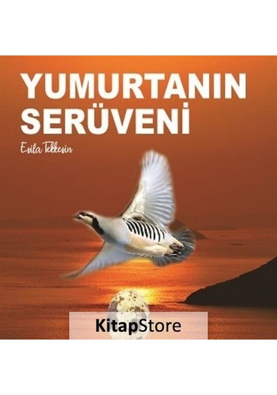 Yumurtanın Serüveni - Esila Tekkeşin - Kitap 72 Yayınları