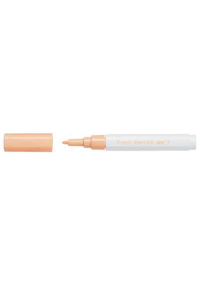 Pilot Pintor F, Pastel Turuncu