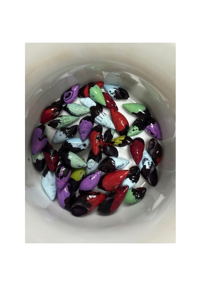 Transgenik Renkli Bonibon Salyangoz 5 Adet 1-2 Cm Yosun Yiyici