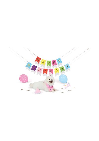 M-pets Party Time Dişi Köpekler İçin Doğum Günü Seti 20x20x7 Cm 244-50102.01