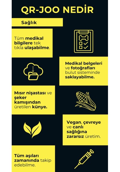 Petjoo 29.Foks Pembe-Yeşil Qr'lı Köpek Künyesi