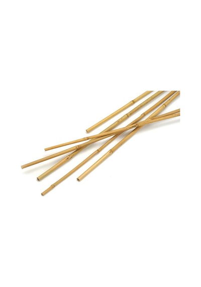 Bitki Destek Çubuğu Bambu 75 Cm 20 Adet
