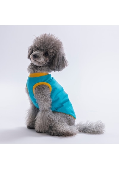 Turquoise-turkuaz Good Vibes Tişört Kedi Köpek Tişörtü-kedi Köpek Kıyafeti