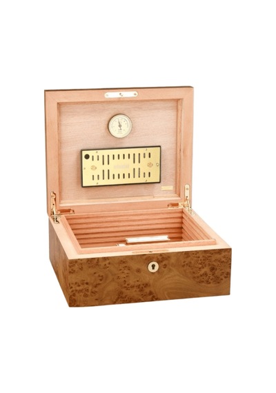 Adorini Elm Burl Grande Sedir Humidor Puro Kutusu 00000tr10019
