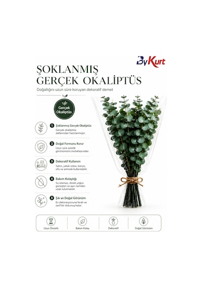 Dekoratif Cam Vazo Ve Doğal Şoklanmış Okaliptus Demeti Seti Şeffaf