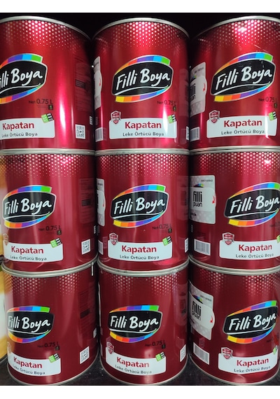Filli Boya Kapatan Leke Küf İs Örtücü Sentetik Boya 0,75l 0,75 L