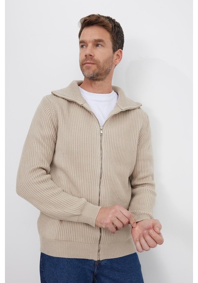 Tudors Erkek Slim Fit Dik Yaka Fermuarlı Vizon Düz Hırka-41800 Vizon