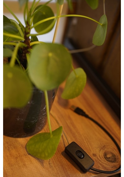 Bitki Geliştirme Led Lamba 5v Usb Tam Spektrumlu Bitki Yetiştirme Led Lamba Melek Halka Günışığı