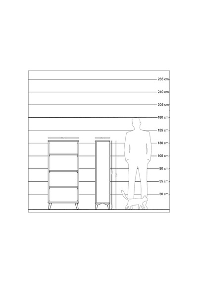 Arges Dolap 3 Raflı 60x30x134 Çam-antrasit Çam