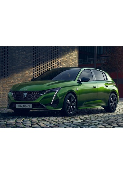 Peugeot 308 P5 3d Kauçuk Paspas Takımı 1675962780