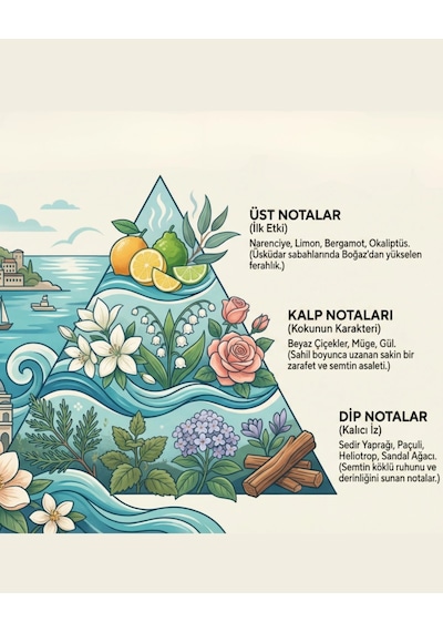 Oxi Natural Premium 80 Kolonya 220ml Cam Şişe Kutulu - Üsküdar