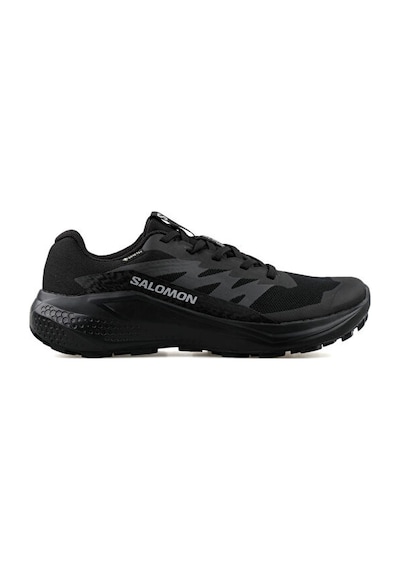 Salomon Alphaglide Gtx Erkek Koşu Ayakkabı L47802100 Renkli Renkli Çok Renkli Salomon Alphaglide Gtx Erkek Koşu Ayakkabı L47802100 Renkli Renkli Çok Renkli