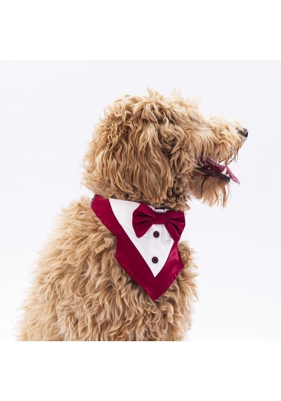 Bordo Smokin Kedi Köpek Fuları Pet Bandanası