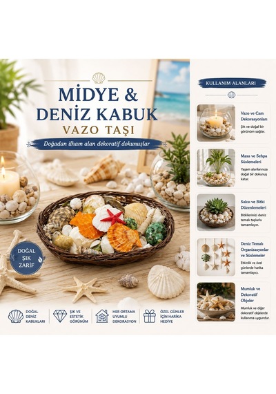 Oval Ahşap Sepet Deniz Kabuklu Vazo Taşı - Renkli Mix Çok Renkli