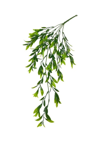 Yapay Çiçek Sarkan Fesleğen 60cm 5Dallı ty120 Yapay Sarmaşık Yeşil Yapay Çiçek Sarkan Fesleğen 60cm 5Dallı ty120 Yapay Sarmaşık Yeşil