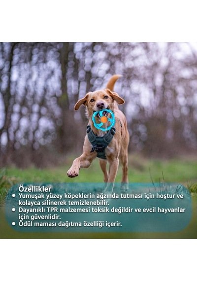 Özel Üretim Halatlı Frizbi Köpek Isırma Oyuncağı - Mama Ödüllü Mekanizma Dost Buluşma Etkinlik
