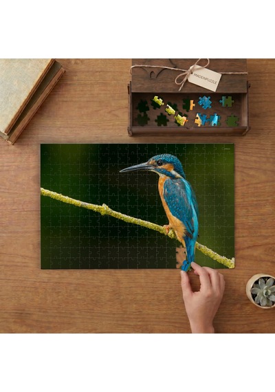 Dalda Yalıçapkını Kuşu Tasarımı 240 Parça Ahşap Puzzle Ahşap Kutuda Mpy50014