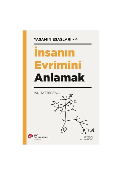 İnsan Evriminin Temel Aşamaları Ve Anlamı