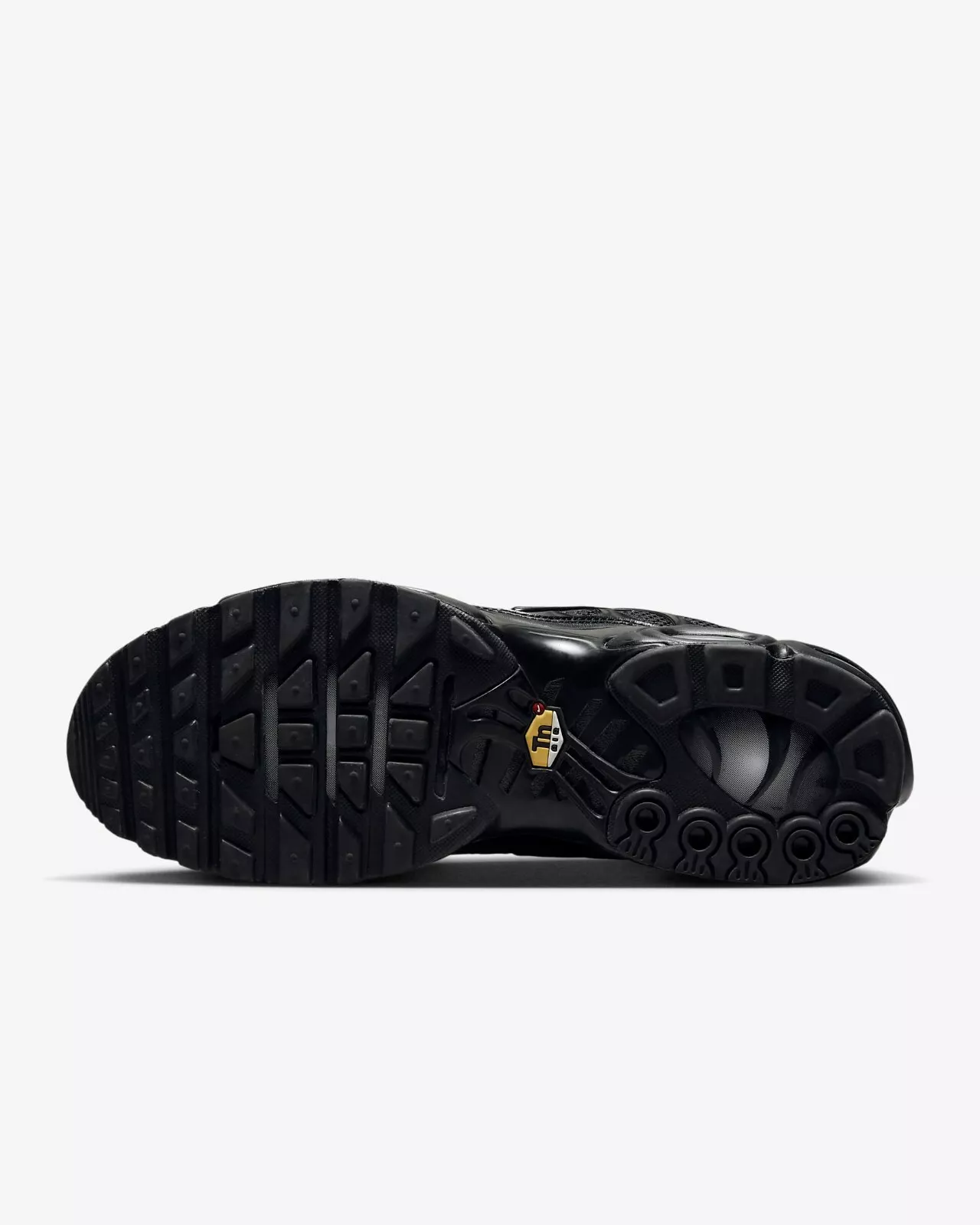 Nike Air Max Plus Tn Siyah