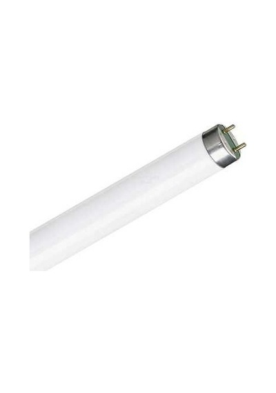 Philips TL-D 18W Snow White Floresan