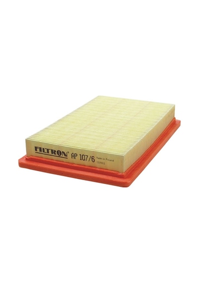 Filtron Hava Filtresi AP107/6