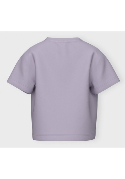 Name It Nmfvilinse Ss Nreg Top Kız Çocuk T-shirt 13228157 Mor