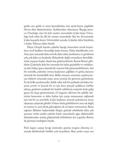 Atmacanın A'sı - Doğa Ve Hayat Üzerine