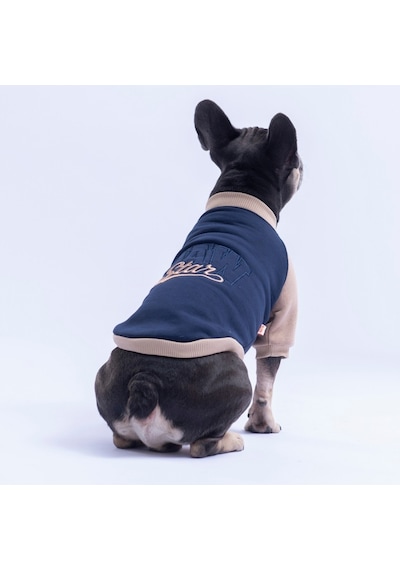 Lacivert Boston Pawstar Sweat Köpek Sweatshirt Köpek Sweat Köpek Kıyafeti Kedi Kıyafeti Lacivert Boston Pawstar Sweat Köpek Sweatshirt Köpek Sweat Köpek Kıyafeti Kedi Kıyafeti