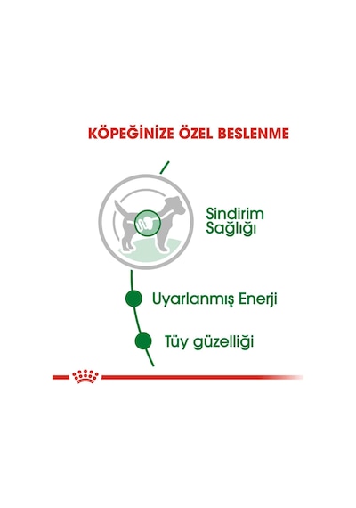 Royal Canin Mini Adult Küçük Irk Yetişkin Köpek Konservesi 85 Gr