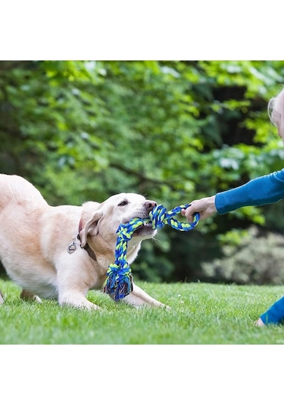 2 Li Büyük Boy Köpek Halat Oyuncağı Seti Isırma Çekiştirme Diş Kaşıma Eğitim İpi