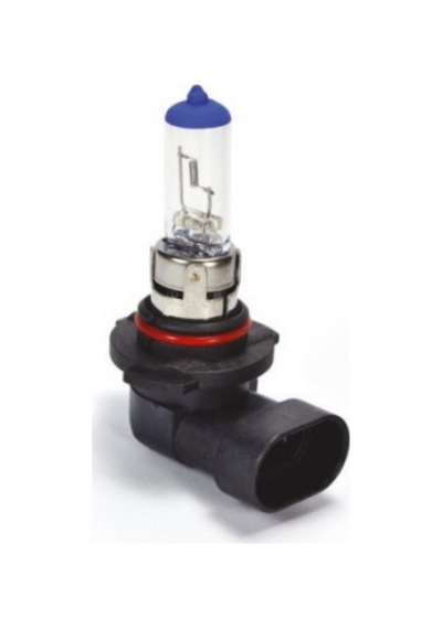 Ampul H10 Export - Unıversal Uyumlu