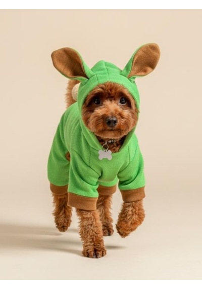 Matcha Bunny Kulaklı Köpek Tulumu Kıyafeti