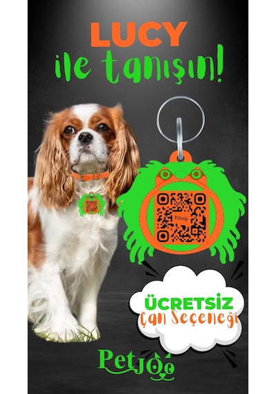 Petjoo 11.Lucy Yeşil-Turuncu Qr'lı Köpek Künyesi