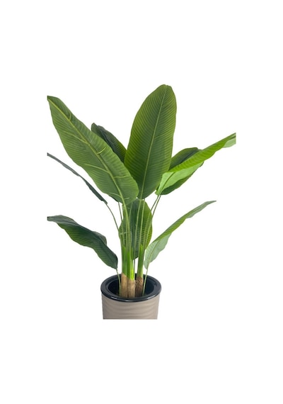 Yapay Starliçe Muz Ağacı Dore Kumsal Vazoda Muz Ağacı Yapay Starliçe 150cm 12 Yaprak