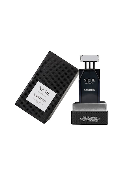 Niche Exclusive Xanthos Erkek Parfüm EDP 100 ML