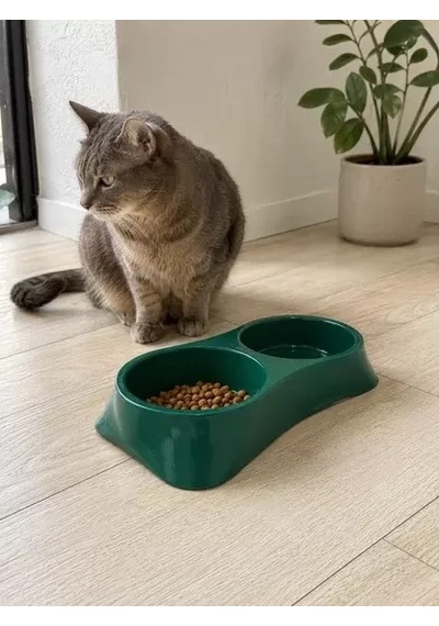 Hubrendy Sh İkili Model Beton Kedi Köpek Mama Ve Su Kabı 24cm 12cm 5cm - Yeşil