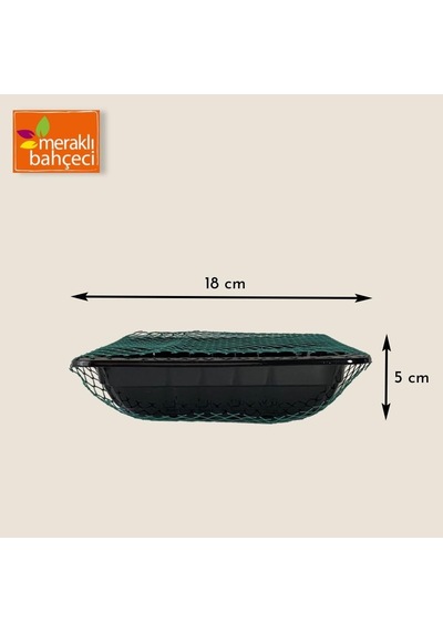 Meraklı Bahçeci Kedi Çimi - Kedi Sindirim Sistemini Rahatlatıcı Zindeliklı Kedi Otu
