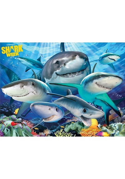 Prime 3d Discovery Köpek Balıkları Puzzle 100 Parça 10668