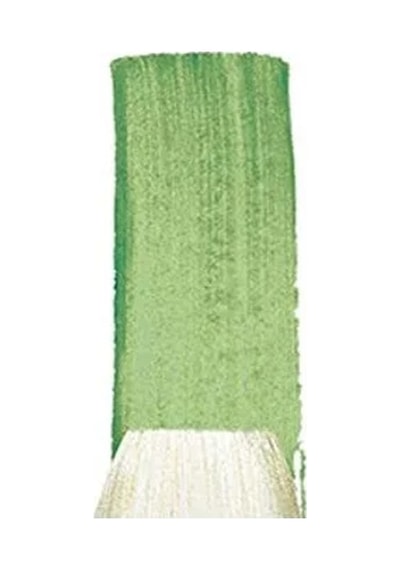 Yağlı Boya İçin No. 10 Düz Fırça, 19.5 Mm
