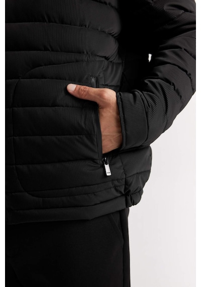 DeFacto Slim Fit Dar Kesim Dik Yaka Fermuarlı Mont D7497AX25SPBK27