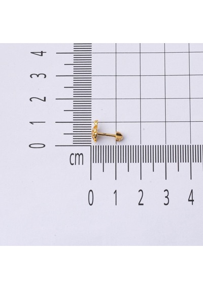 14 Ayar Altın Kaplumbağa Tragus Küpe Kphsy14k22502 Sarı