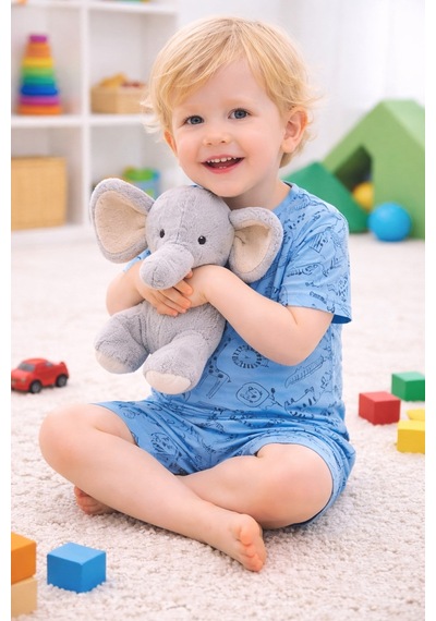 Aden Kids Erkek Çocuk Mavi Saferi Baskılı Yazlık Pijama Takımı Açik Mavi