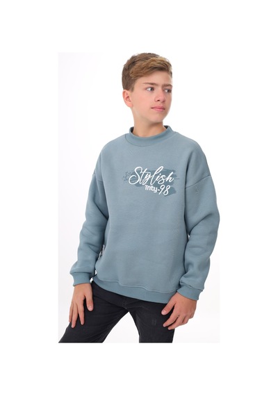 Toontoy Erkek Çocuk Baskılı Sweatshirt Mavi