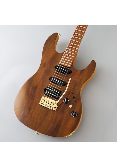 Fujigen Odyssey Elektro Gitar Eos2duew2rm/vnt
