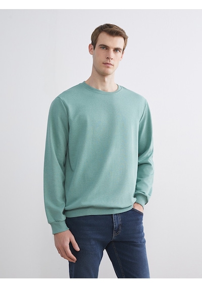 Lcw Eco Yeşil Bisiklet Yaka Erkek Sweatshirt