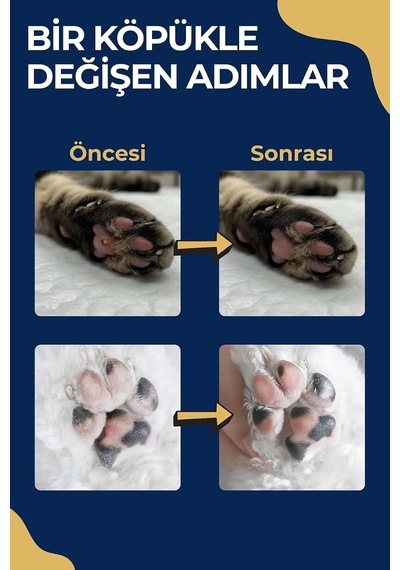 Cleapet Doğal Pati Temizleme Köpüğü 200 Ml Fırça Başlıklı, Durulamasız Kedi Ve Köpek Bakımı Bitkisel, Probiyotik, Vegan Susuz Şampuan