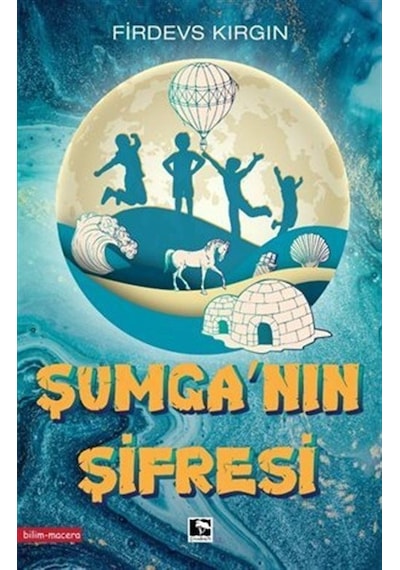 Şumga'nın Şifresi - Firdevs Kırgın - Çınaraltı Yayınları