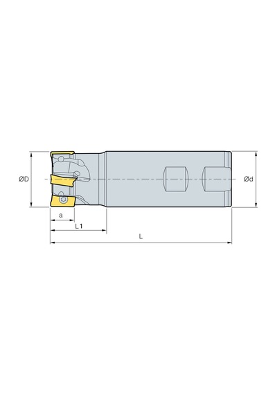 Mertsan Uzun Saplı Tarama Freze Kafası D020-2, 20x150 Mm Takım Ölçüsü, 2 Adet Apkt 1003 Kesici Uç Kullanır 1 Adet